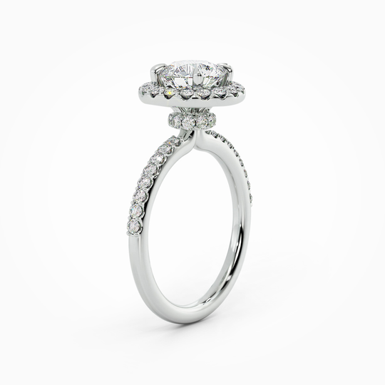 Wi Lucia Halo Round 00002 1